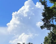 路环岛天气预报,路环岛7天天气预报,路环岛15天天气预报,路环岛天气查询